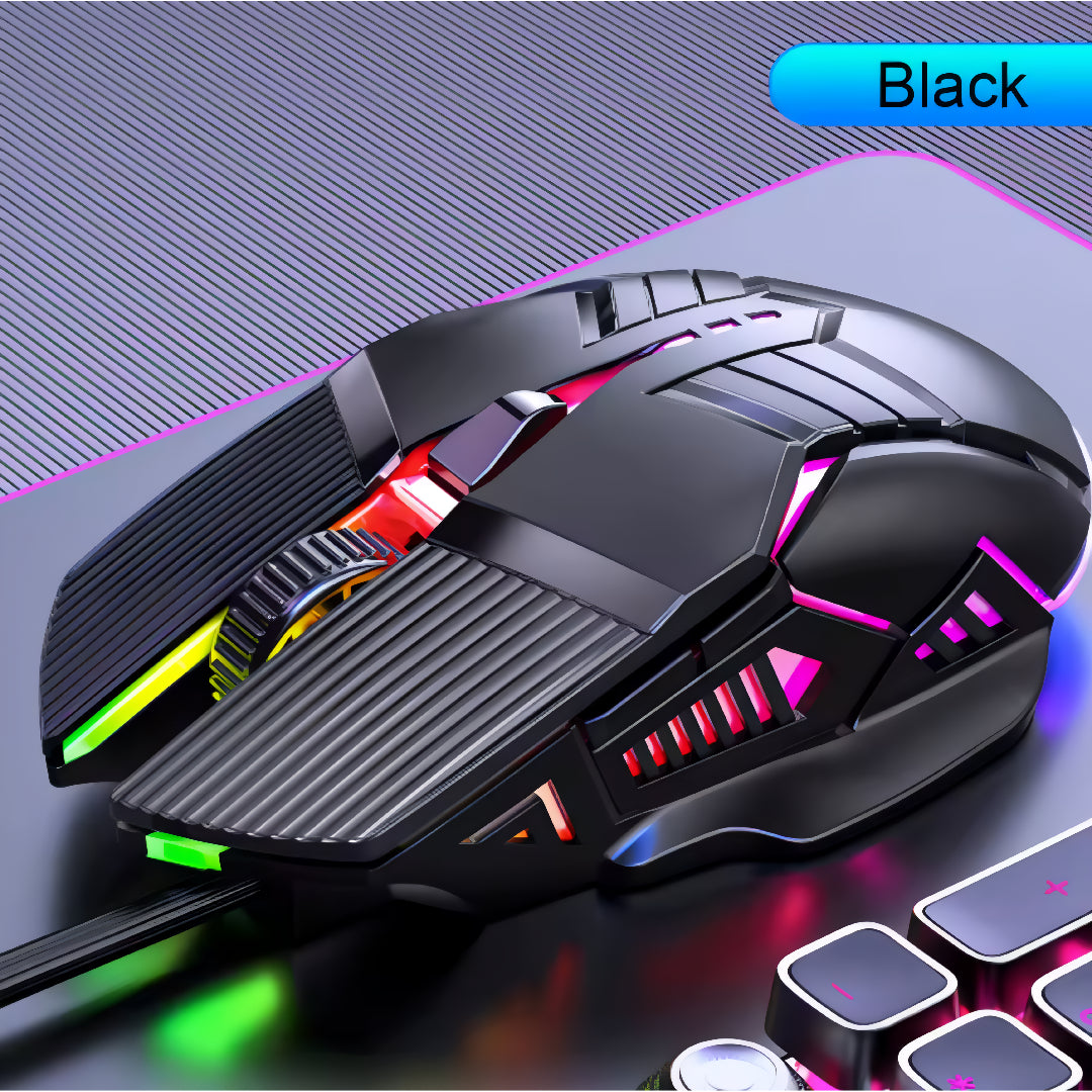 Mechatronic Mouse
