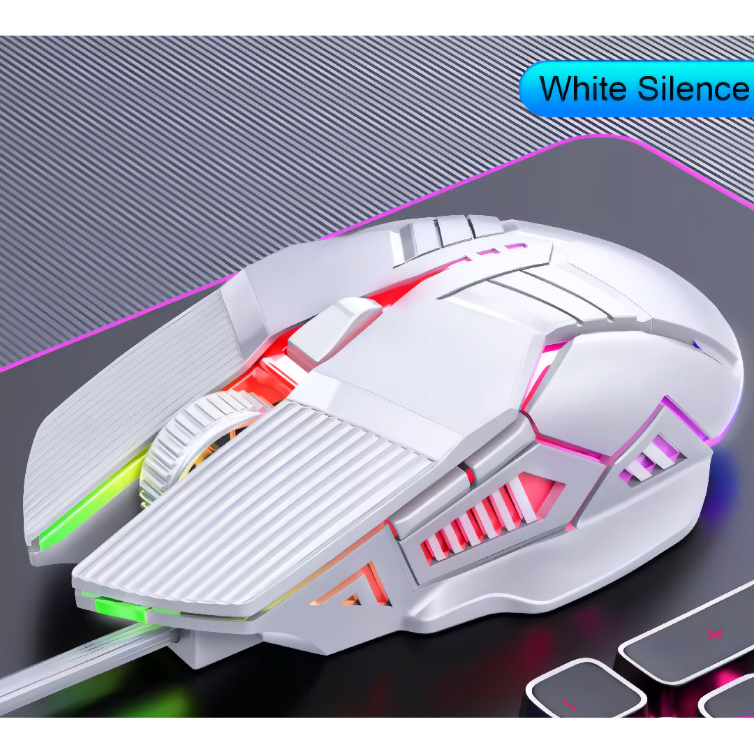 Mechatronic Mouse