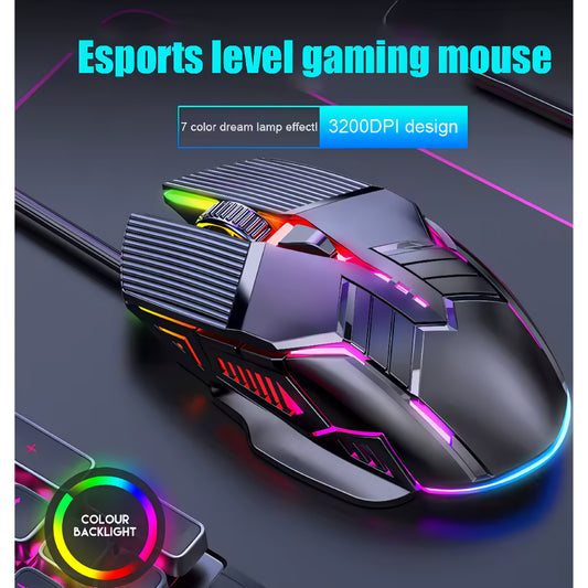 Mechatronic Mouse