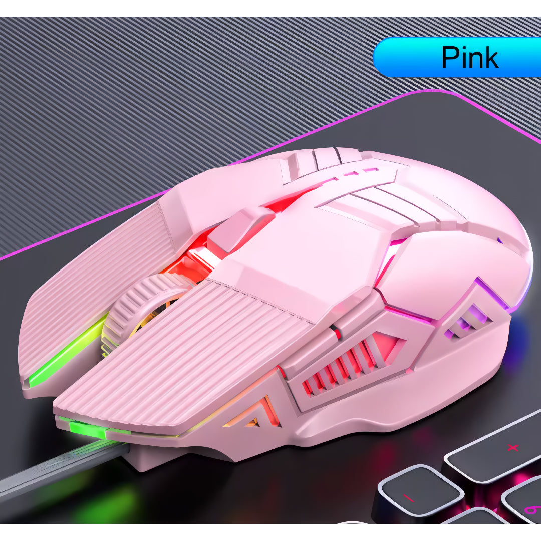 Mechatronic Mouse